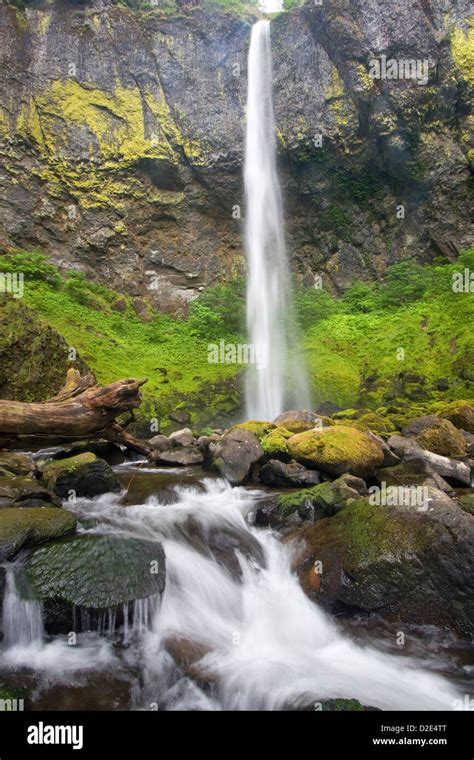Elowah Falls In The Columbia River Gorge National Scenic Area Oregon