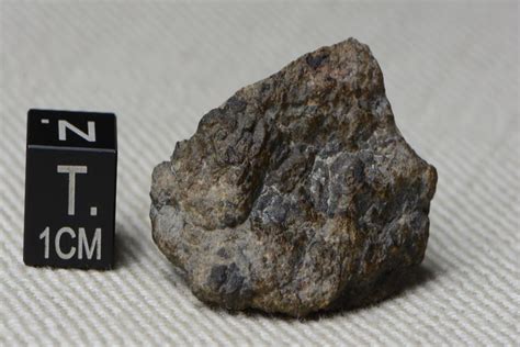 Dhofar 055 135g Explore Meteorite