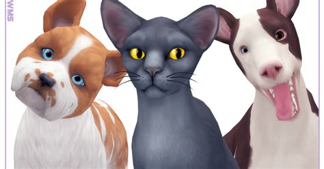 Pin On Sims 4 Pets