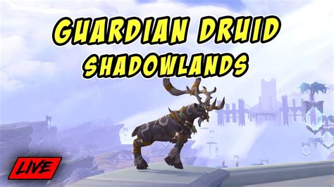 Shadowlands Leveling Guardian Druid 58 60 Wow Shadowlands 902 Game