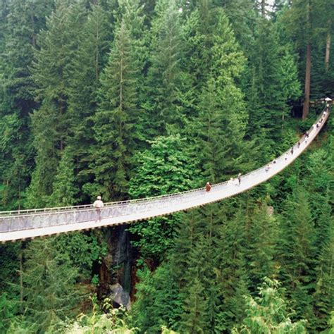 Famous Walking Bridges In Canada Usa Today