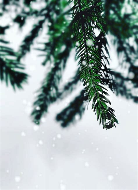 500 Mẫu Snow Background Aesthetic Đẹp Nhất Tải Miễn Phí