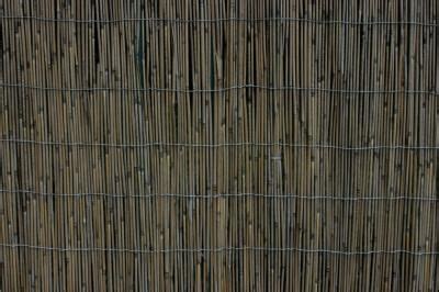 Because of it's rapid growth and potential to spread, bamboo is both adored and detested. DIY Bamboo Fencing - because someday we will need to enclose the yard and this is easy. | Bamboo ...