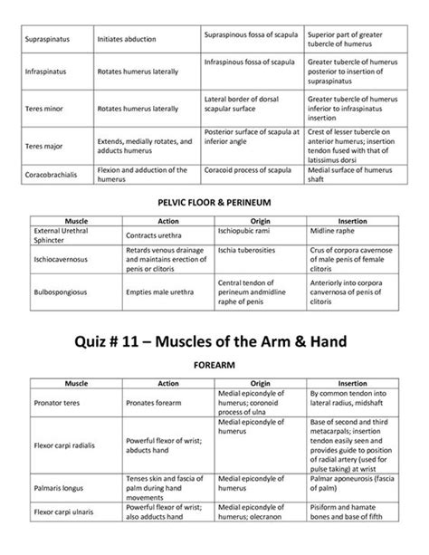 Maybe you would like to learn more about one of these? Muscle List Action Origin Insertion Mrs Smutz | Massage ...