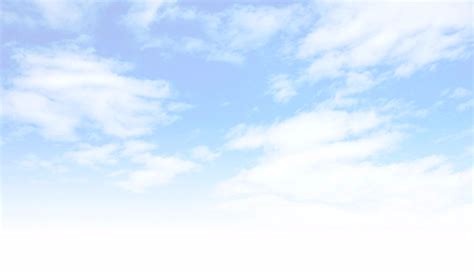 Jak dobrze znasz rasy kotów? | sameQuizy