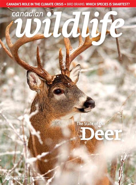 Canadian Wildlife Novemberdecember 2020 Magazine