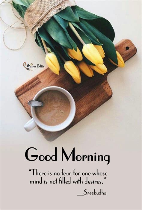 Goodmorning In 2023 Happy Good Morning Quotes Good Morning Quotes