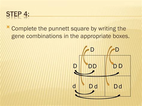 ppt how to do a punnett square in 5 easy steps powerpoint presentation id 2986197