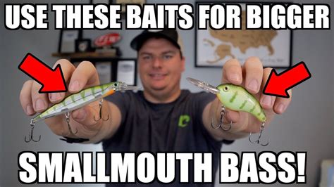 Best Baits For Big Smallmouth Bass Youtube