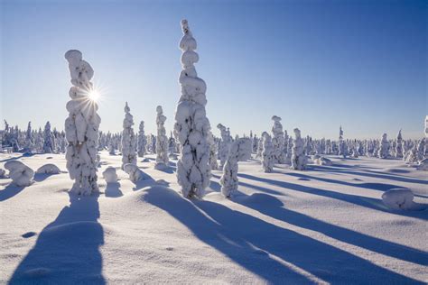 Winter Adventure Week In Lapland Rovaniemi Lapland Welcome In Finland