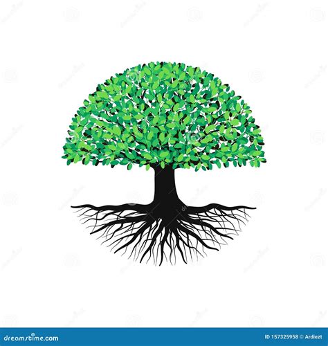 Abstract Tree With Roots And Green Leaves Tree With Round Shape Vector