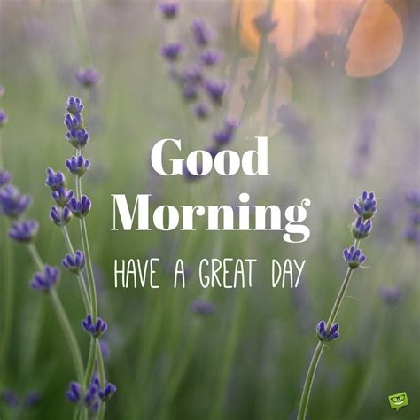 Have A Beautiful Day Good Morning Quotes On Pictures