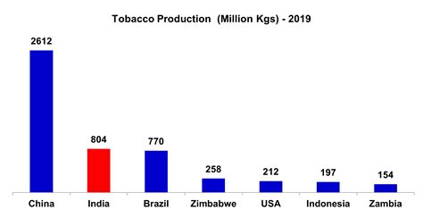 Tobacco Production Tobacco Crop Tiionline