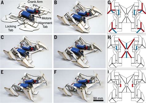 A Method For Building Self Folding Machines Science