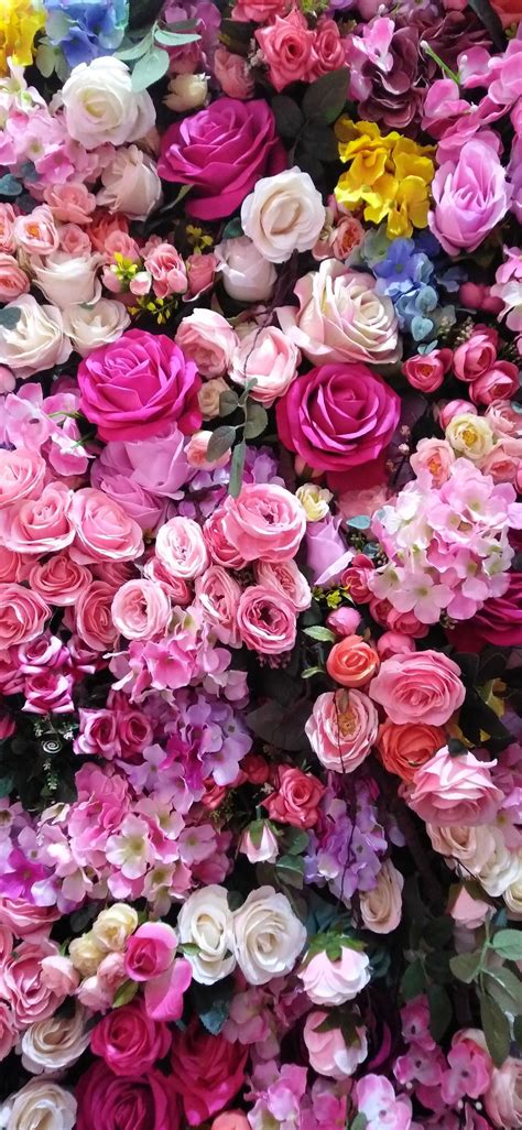 Iphone X Flower Wallpaper Full Hd Best Flower Site