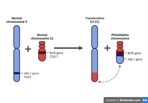 The Philadelphia Chromosome Leukemia Translocation Diagnostic Tests