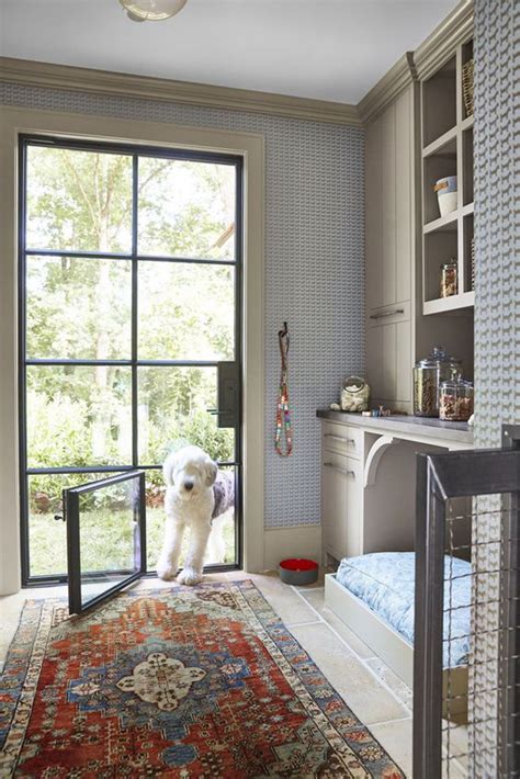 small dog rooms  hidden glass door