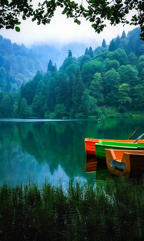 Artvin valisi doruk, çay bahçesine girdi çay topladı artvin valisi yılmaz doruk, borçka ilçesine bağlı güreşen köyü'nü ziyaret etti. Artvin Borçka Karagöl | Yolculuk, Geziler, Seyahat