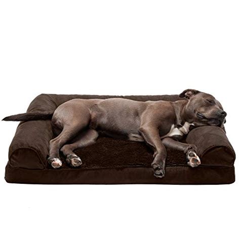 Top 10 Best Dog Beds For Large Dogs That Chew In June 2023