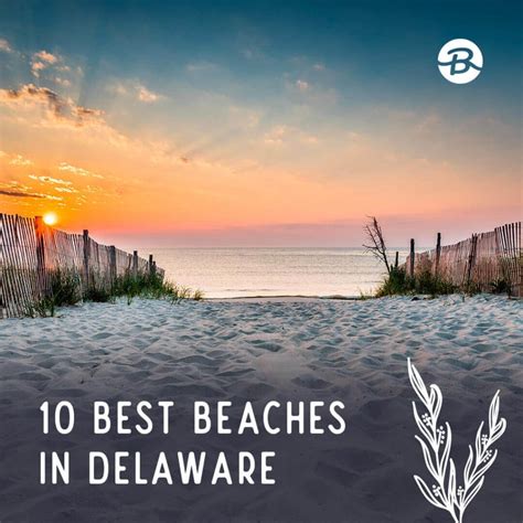 Delaware Beaches Best Beaches In Delaware Beachfix