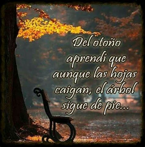 Frases de motivación para compartir en tus redes o whatsapp. Imagen de Toñi P. Loro en Frases y deseos para cada ...
