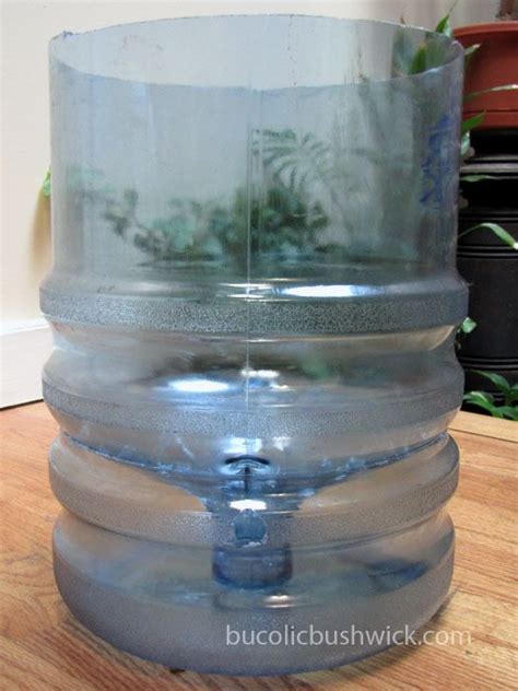 Diy Self Watering Container From A 5 Gallon Water Cooler Bottle Water