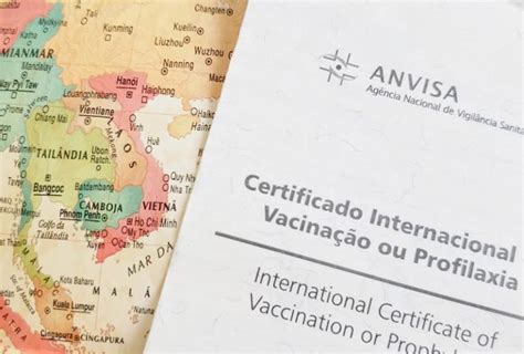 Para obter o certificado internacional de vacinação e profilaxia (civp), é imprescindível a presença do interessado (viajante) nos centros de orientação para a saúde do viajante. Como tirar o certificado internacional de vacinação | Te ...