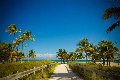 Top 10 South Florida Beaches With Playgrounds South Florida Finds