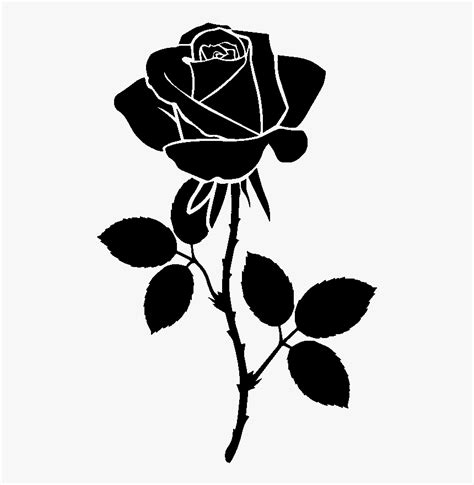 Vector Black Rose Outline Hd Png Download Transparent Png Image