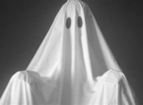 Ghosting In Business Training Solutions Hlc