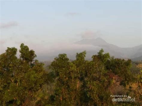 Maybe you would like to learn more about one of these? Foto: Selamat Pagi dari Gunung Wilis