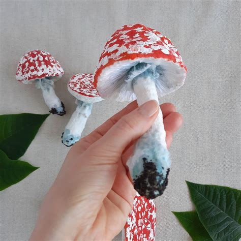 Decorative Mushroom T For Nature Lovers Realistic Mushroom Etsy