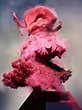 Nick Knight | Nick knight photography, Photography awards, National ...