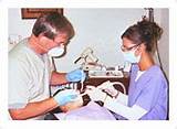 Free Dental Clinic Port Charlotte Fl Pictures