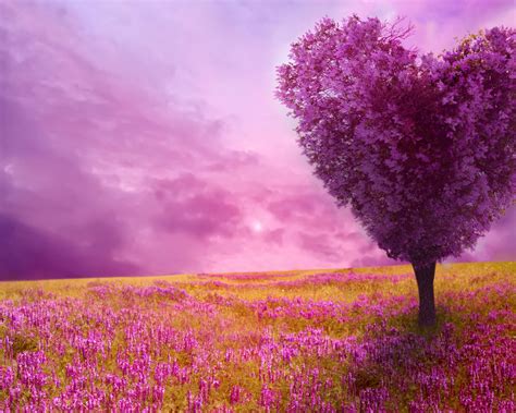 Free Download Spring Nature Background 1920x1080 For Your Desktop