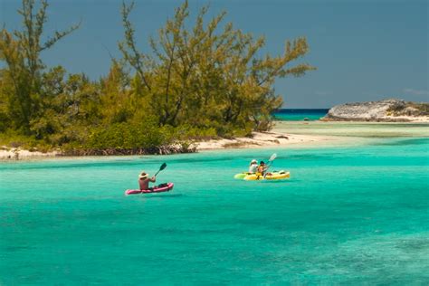 The Best Nassau Shore Excursions To The Bahamas Swimming Pigs In Exuma