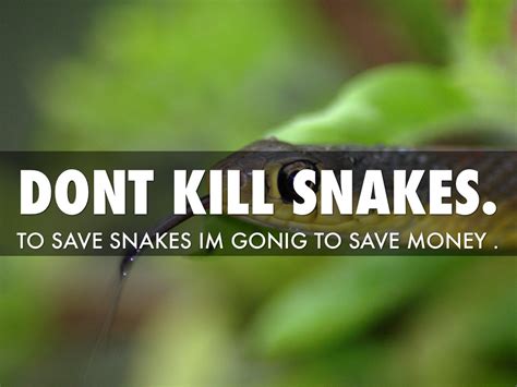 Dont Kill Snakes By Tiffany Peters