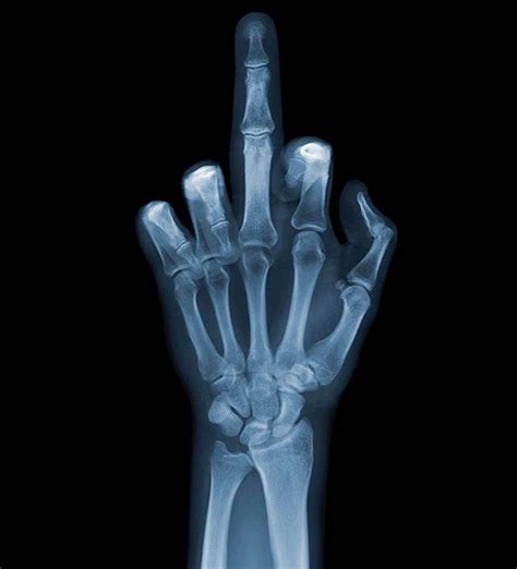 Sticking out one's middle finger and showing someone the back of your hand. Middle Fingers Up | Middle finger wallpaper, Wallpaper