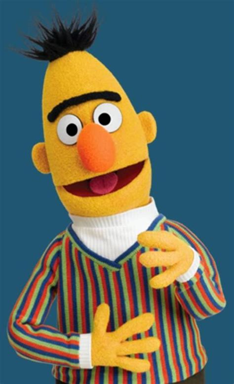 Bert Photograph By Sesame Street