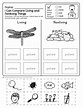 FREE! NO-PREP Kindergarten Science SAMPLER by Science Doodles | Free ...