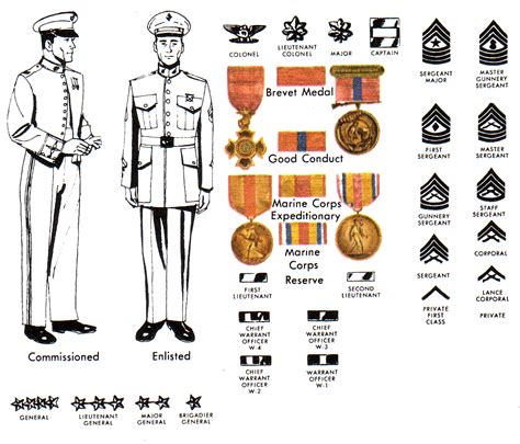 Marine Nco Ranks Usmc Enlisted Rank Structure Know Th
