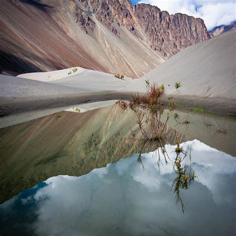 Sand Dunes Of Nubra Valley Himalaya Ladakh Photograph By Perfect