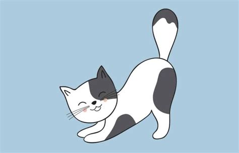 Gambar Kucing Kartun Berwarna Yang Imut Dan Lucu Fanicat