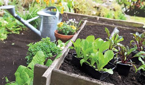 Preparing Your Garden For Spring Daltons