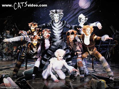 Последние твиты от cats the musical (@catsmusical). Category:Recordings | 'Cats' Musical Wiki | FANDOM powered ...