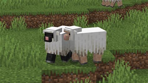 Goat Styled Sheep Minecraft Texture Pack