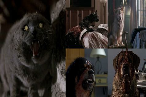 Top Ten Horrific Pets Horror Movie Horror Homeroom