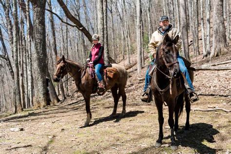 Horseback Riding In The Smoky Mountains Stables And Ranches