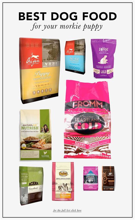 The first ingredient is usually chicken, which is a great protein source. Top 10 Best dog food brands for Morkie dogs! | Dog food ...