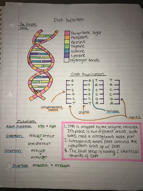Science Notes On Dna Science Notes Biology Notes Medical School